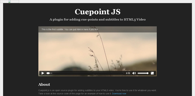 cuepointjs