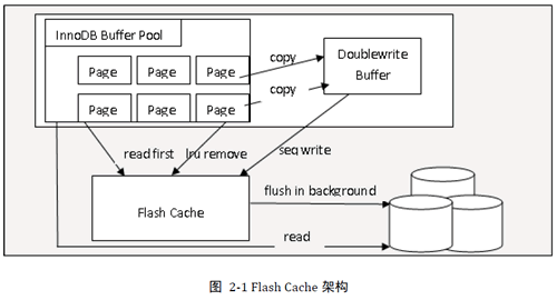 InnoSQL