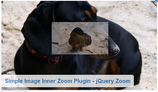 jquery image zoom plugins